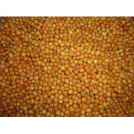 CAJDEX ROKITNIK MROŻONY 2,5kg/4
