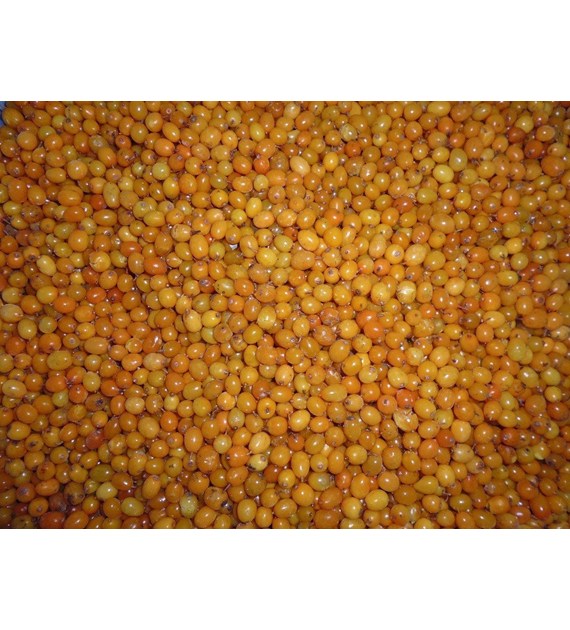 CAJDEX ROKITNIK MROŻONY 2,5kg/4