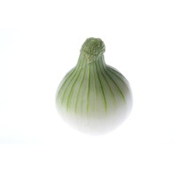 IF CEBULA CUKROWA  (5) PL KL.I