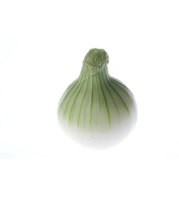 IF CEBULA CUKROWA  (5) PL KL.I