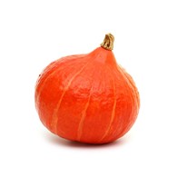 IF DYNIA HOKAIDO LUZ KL.I PL