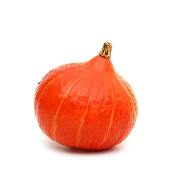 IF DYNIA HOKAIDO LUZ KL.I PL