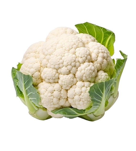 IF KALAFIOR CIĘTY KL.I PL (6)