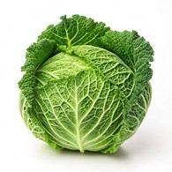 IF KAPUSTA WŁOSKA KL.I