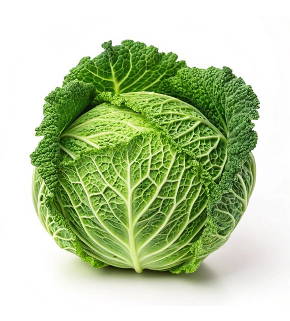 IF KAPUSTA WŁOSKA KL.I