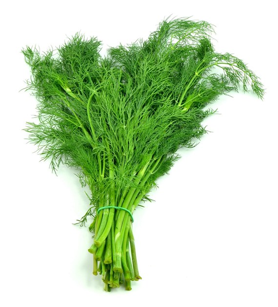 IF KOPER KL.I  (15) WŁOCHY