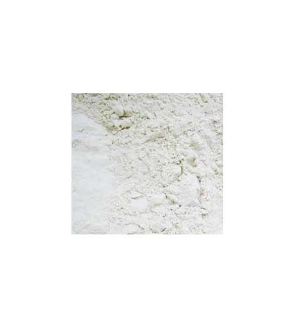 AB GLUTEN PSZENNY WITALNY 25kg