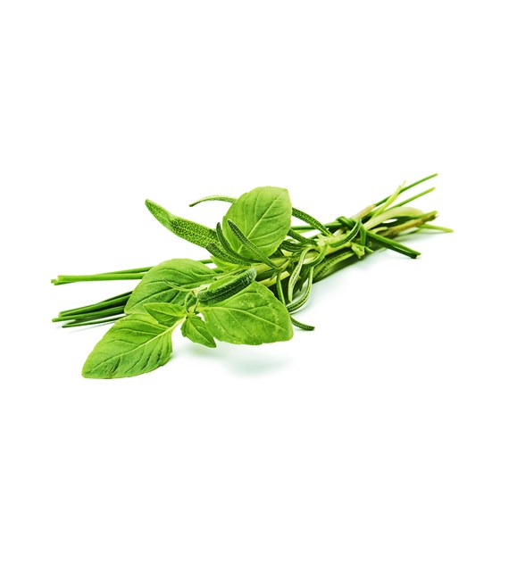 IF BAZYLIA CIĘTA PĘCZEK