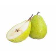 IF GRUSZKA CONFERENCJA  EXTRA (20kg) PL KL.I