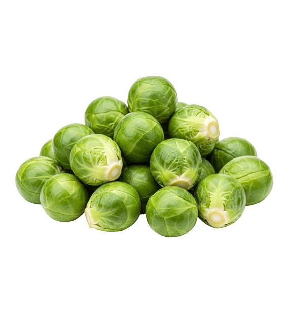 IF BRUKSELKA (5)PL KL1