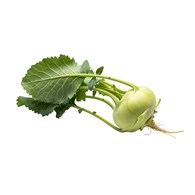 IF KALAREPA KL.I PL na wagę