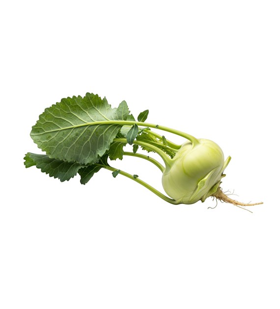 IF KALAREPA KL.I PL na wagę