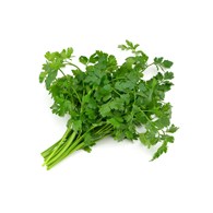 IF NATKA PIETRUSZKI DEKORACYJNA