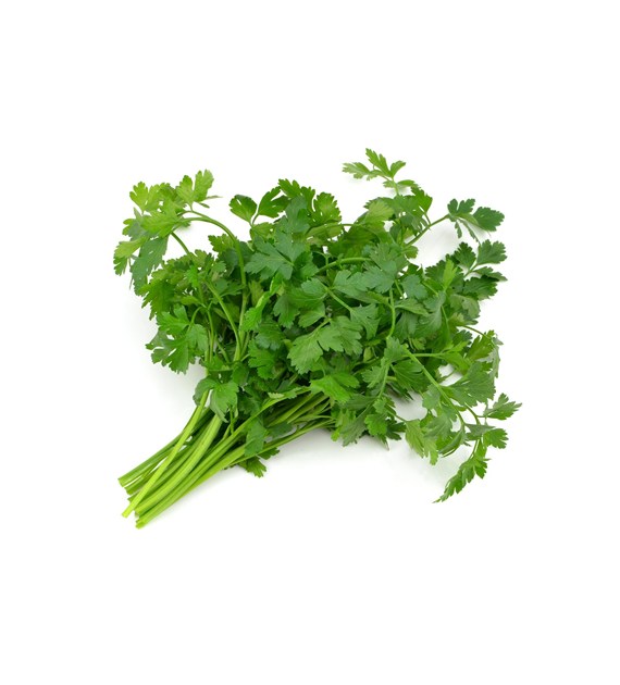 IF NATKA PIETRUSZKI DEKORACYJNA