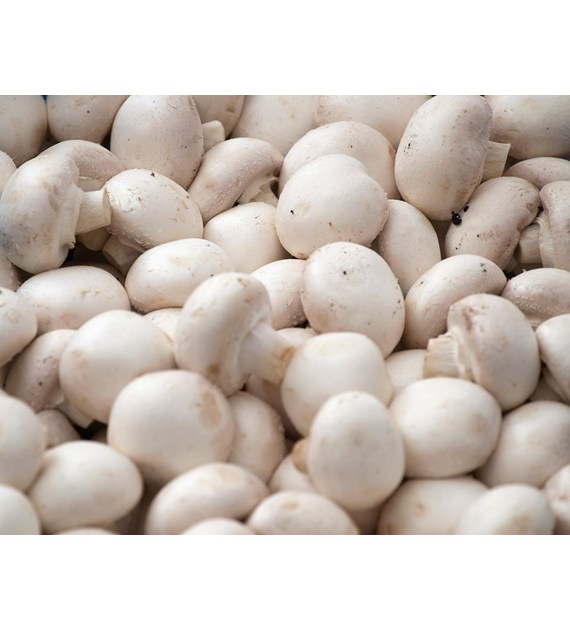 IF PIECZARKI 500g KUBEK