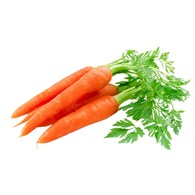 IF MARCHEW GASTRONOMICZNA (10kg) gruba