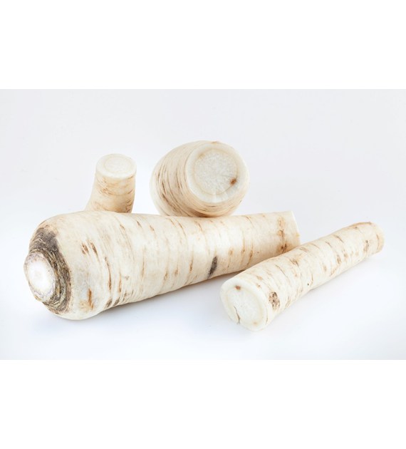 IF PIETRUSZKA KORZEŃ OBRANA 4kg