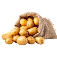 IF ZIEMNIAK  POLSKI JUREK (15) KL.I