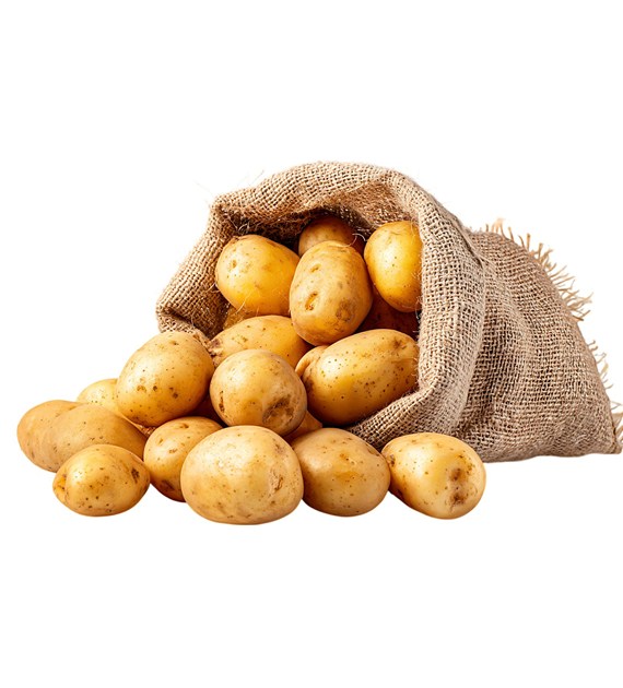 IF ZIEMNIAK  POLSKI JUREK (15) KL.I